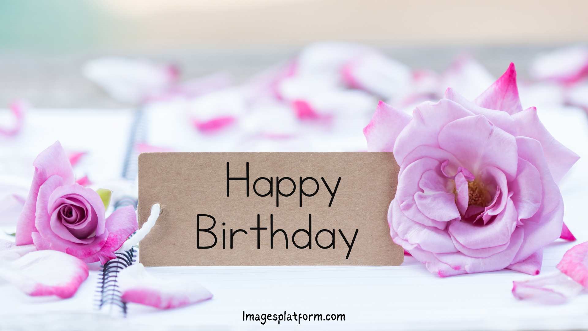 Happy Birthday Wishes and Messages - IMAGESPLATFORM