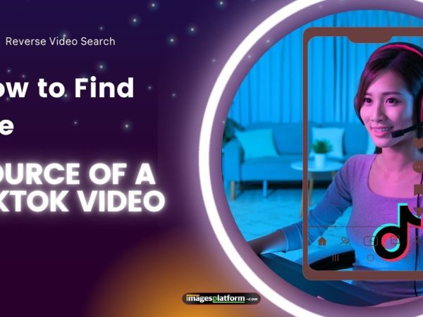 How to Find the Source of a TikTok Video (2025 Guide)