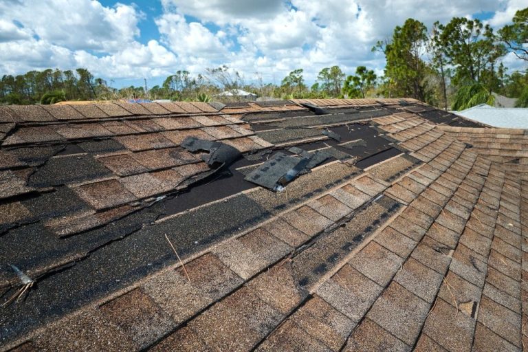 roof