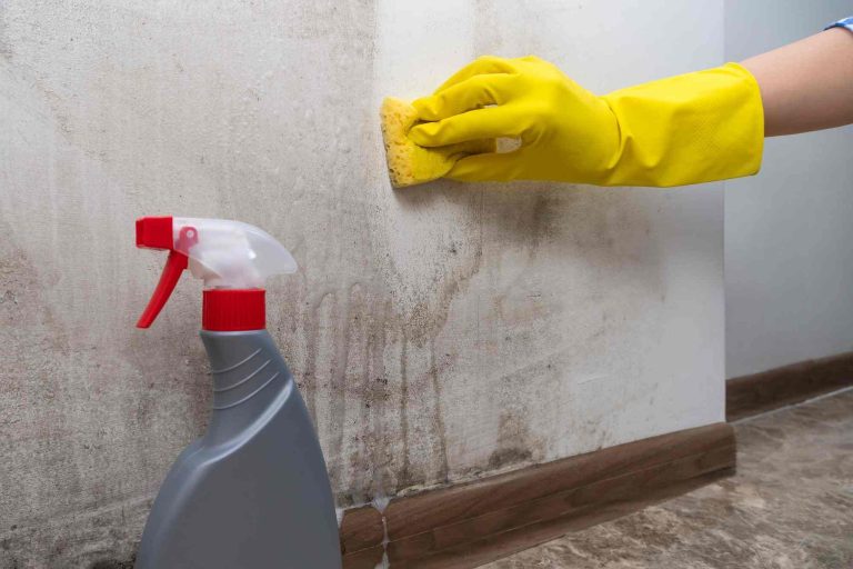 cleaning