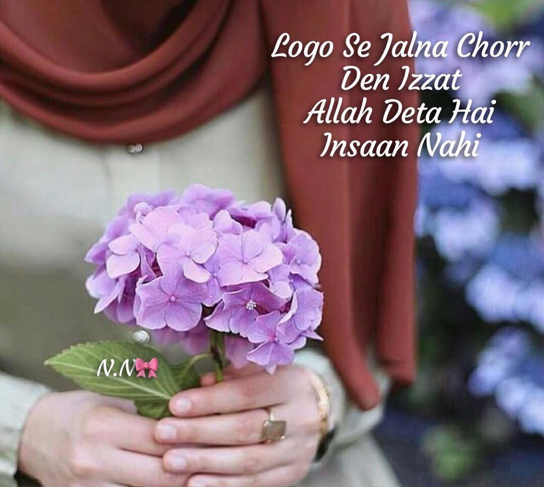 Izzat Allah Deta Hai Picture