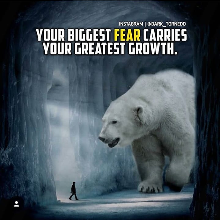 Bears Quotes And Saying