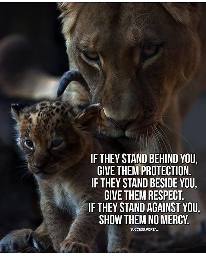 Lion Quotes Images