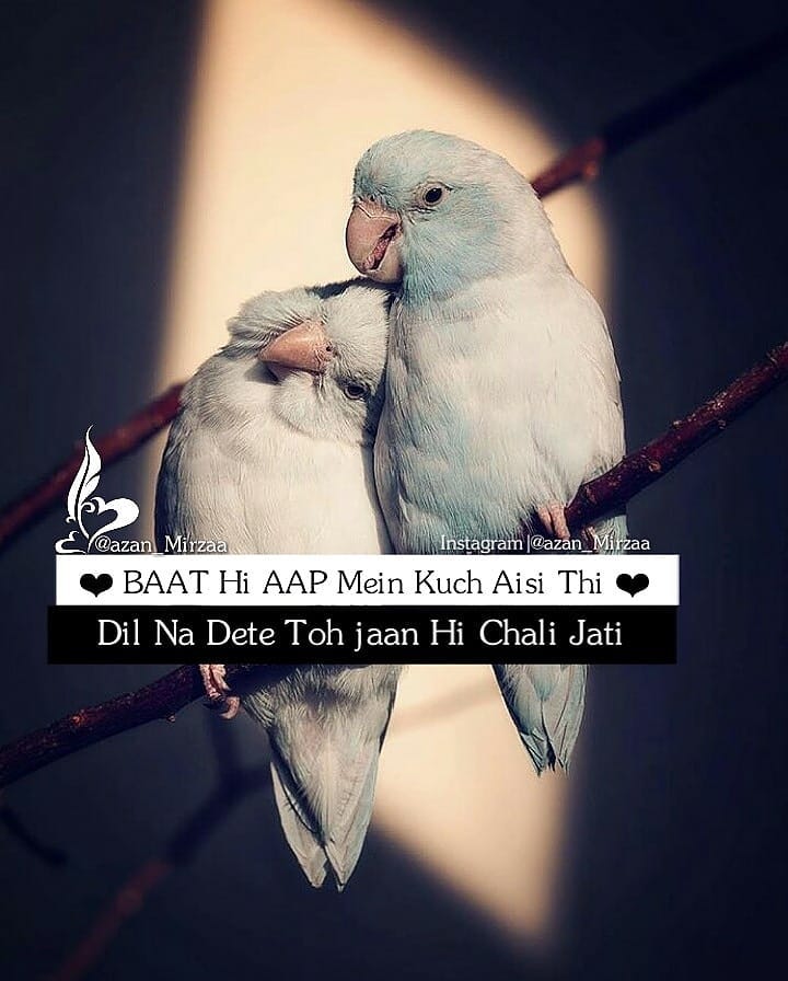 Love Poetry Post Written On Birds Pic