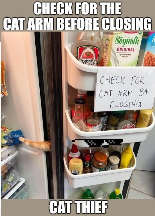 Cat Thief Stealing Food From Refrigerator