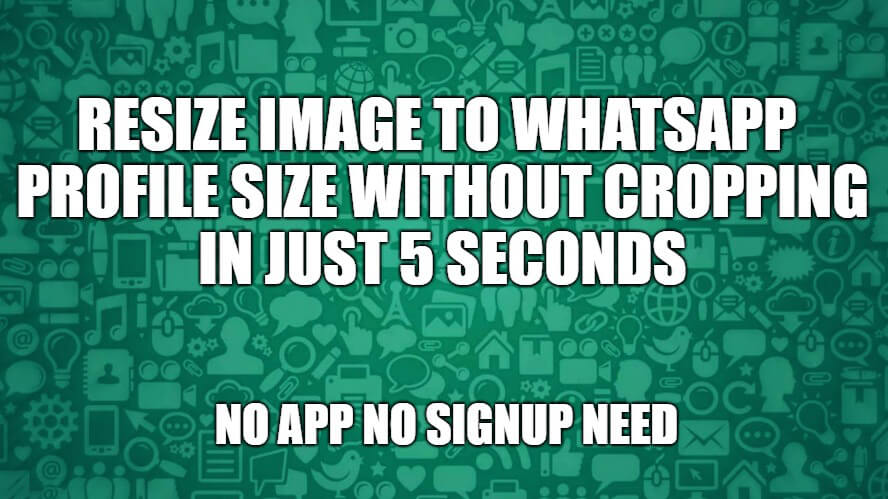 Avatar size whatsapp WhatsApp Show