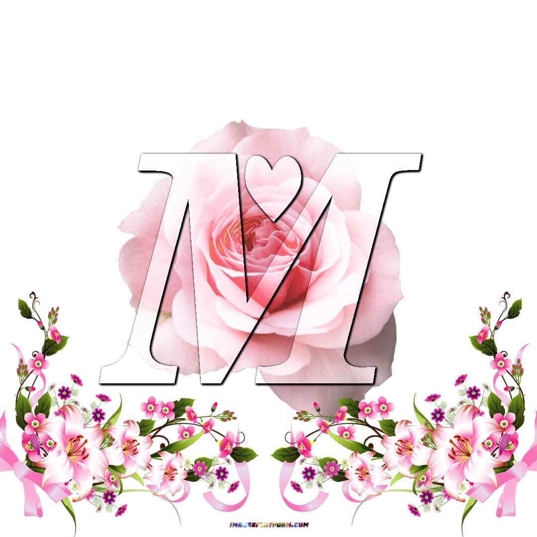 Write Name On Pink Rose M Name Dp Wallpaper Write Name On Pink Rose M Name Dp Wallpaper